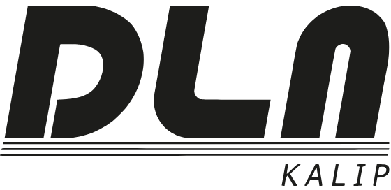 DLN Kalıp logosu